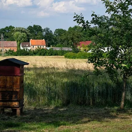 Agroturystyka Borow Prusice Exterior photo
