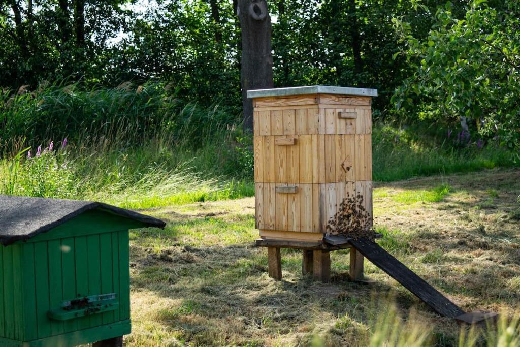 Holiday home Borow Prusice