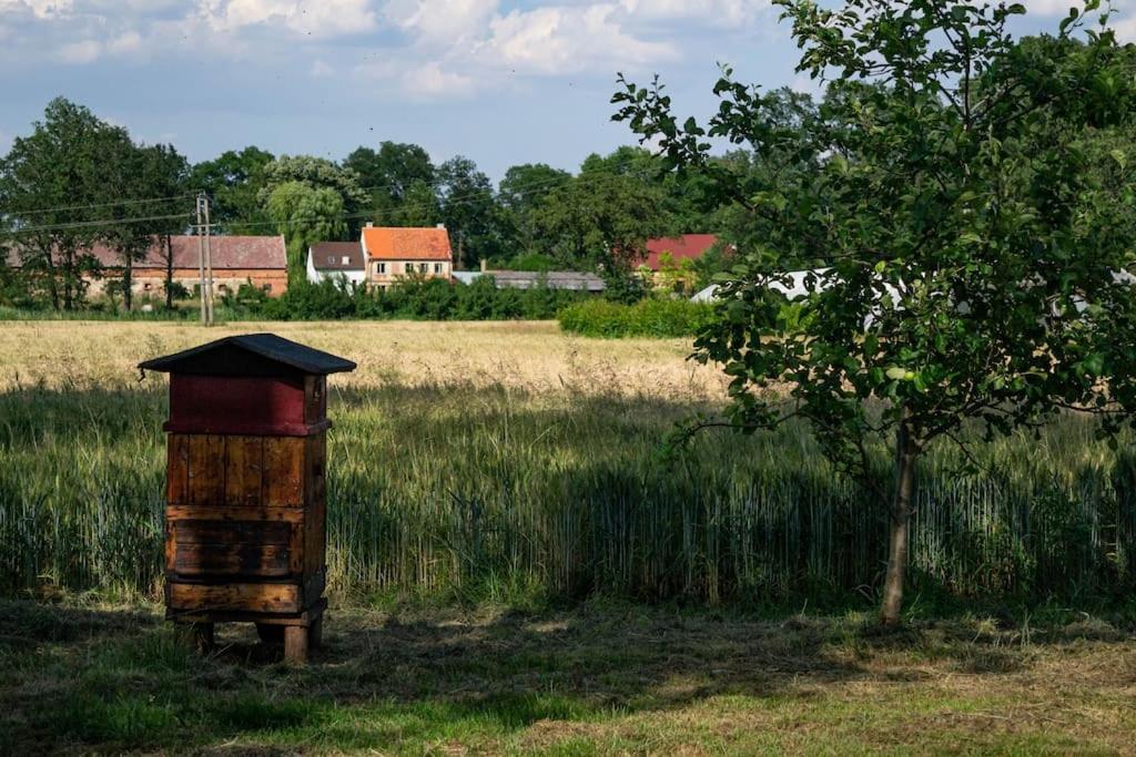 Borow * Prusice