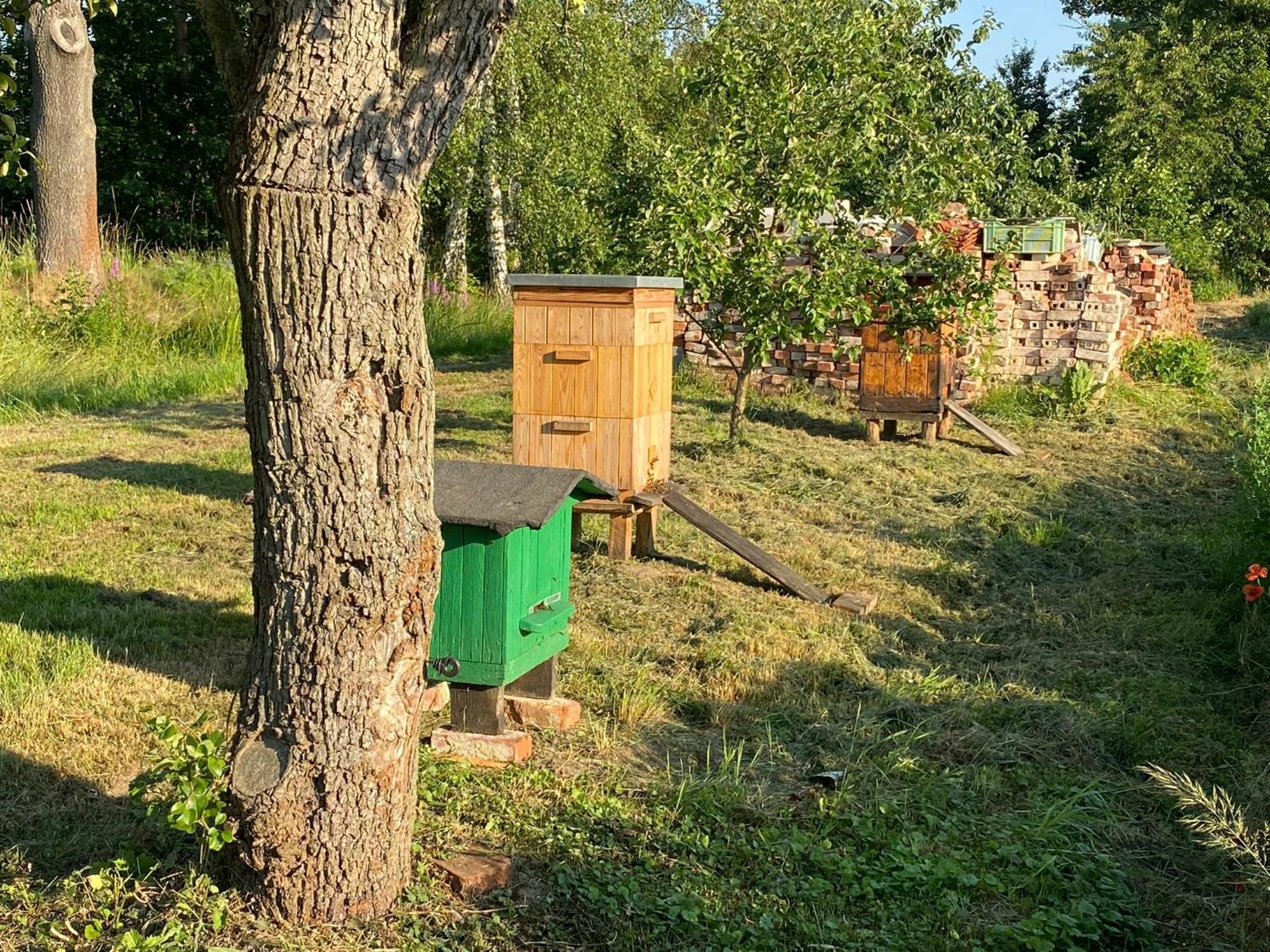 Borow Holiday home